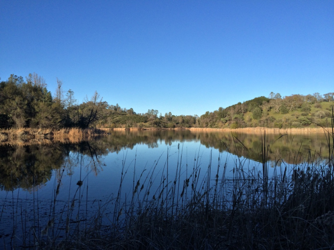 Henry-coe-backpacking-mississippi-lake-shore