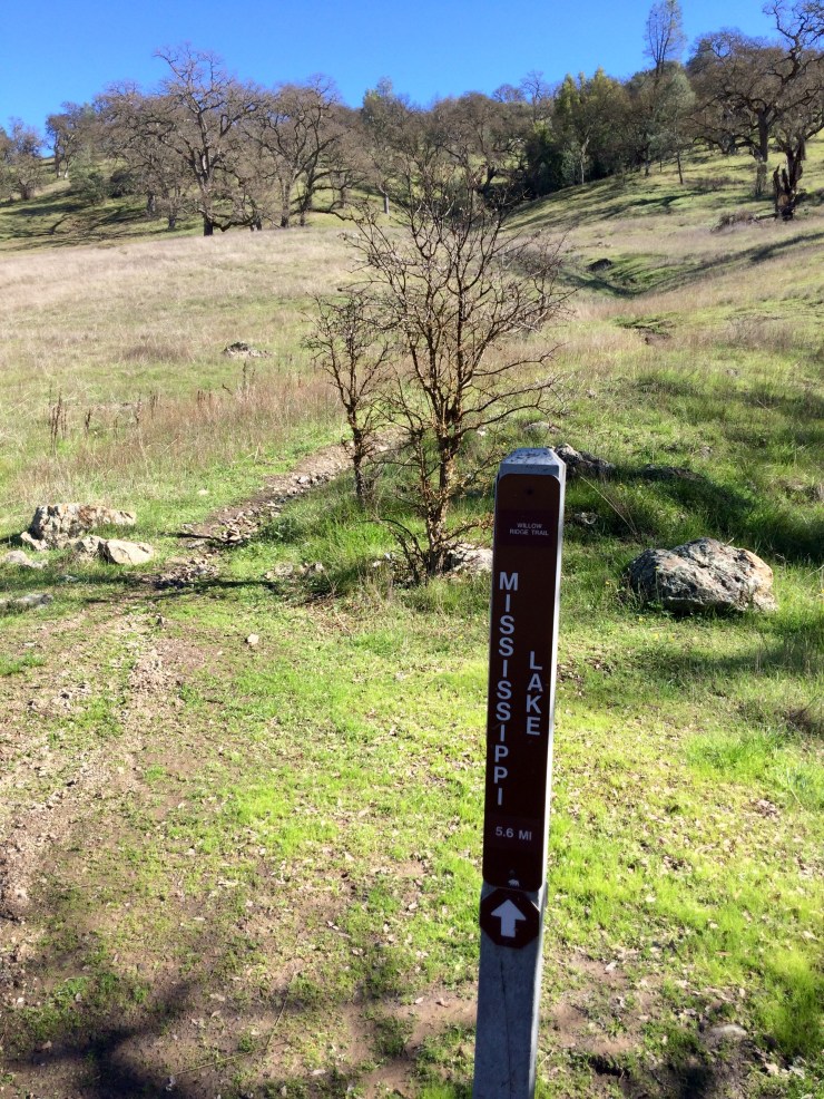 Henry-coe-backpacking-mississippi-start-willow-ridge-climb