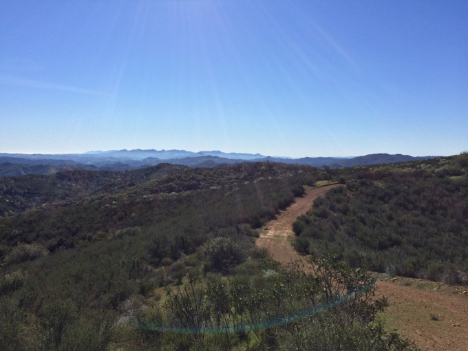 henry-coe-backpacking-mississippi-willow-ridge-road-2