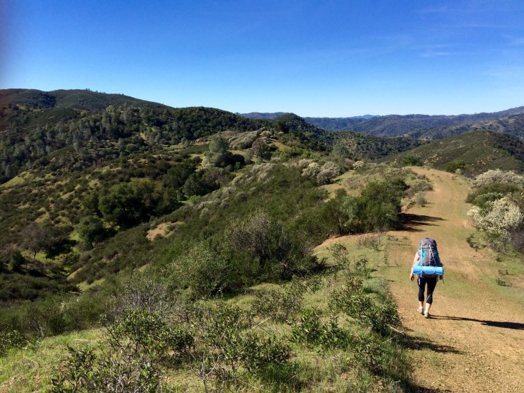 Henry-coe-backpacking-mississippi-willow-ridge-road-out