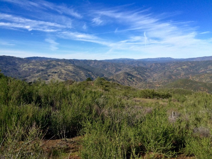 henry-coe-backpacking-mississippi-willow-ridge-road-view