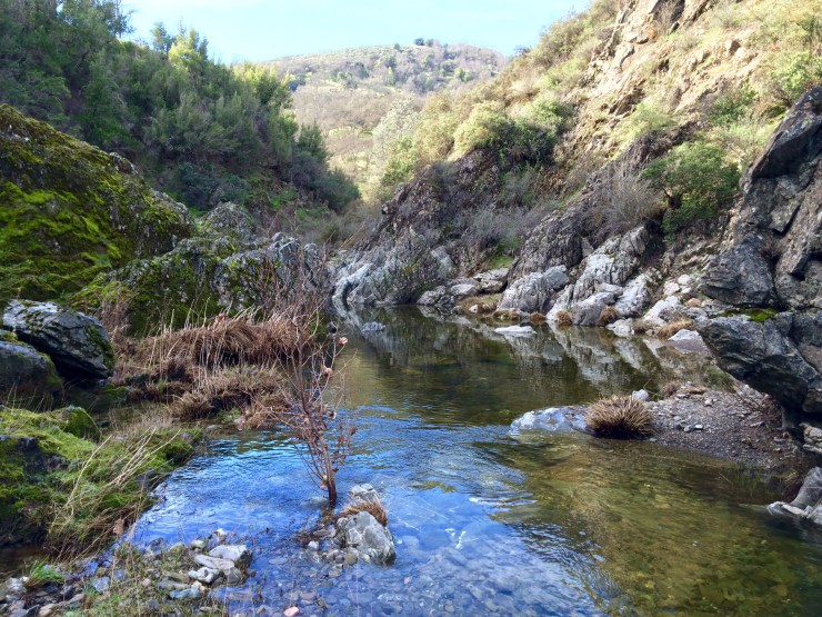 Henry-coe-backpacking-the-narrows-creek