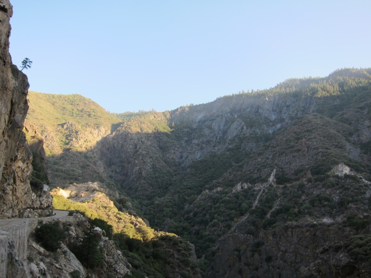 Highway 180 into Kings Canyon National Park