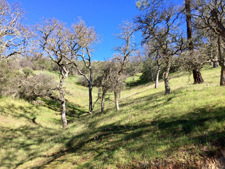 Photo Feb 14, 11 11 02 AM