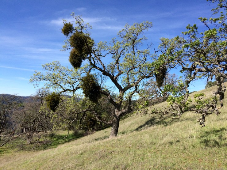 Photo Feb 15, 12 33 57 PM