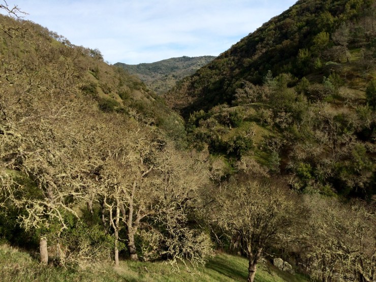 Photo Feb 15, 3 37 09 PM