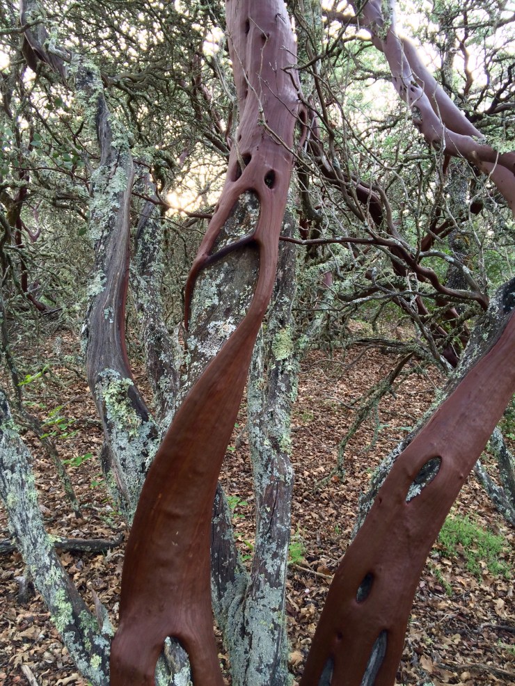 Photo Feb 15, 4 19 46 PM