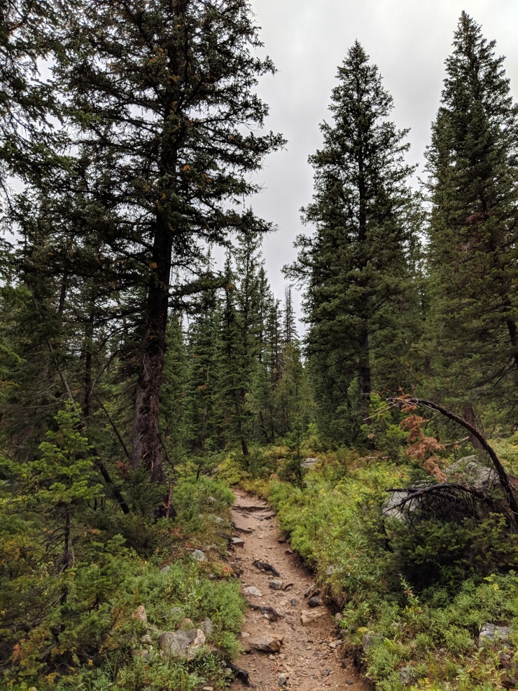 Teton-crest-trail-backpacking-junction-cascade-canyon