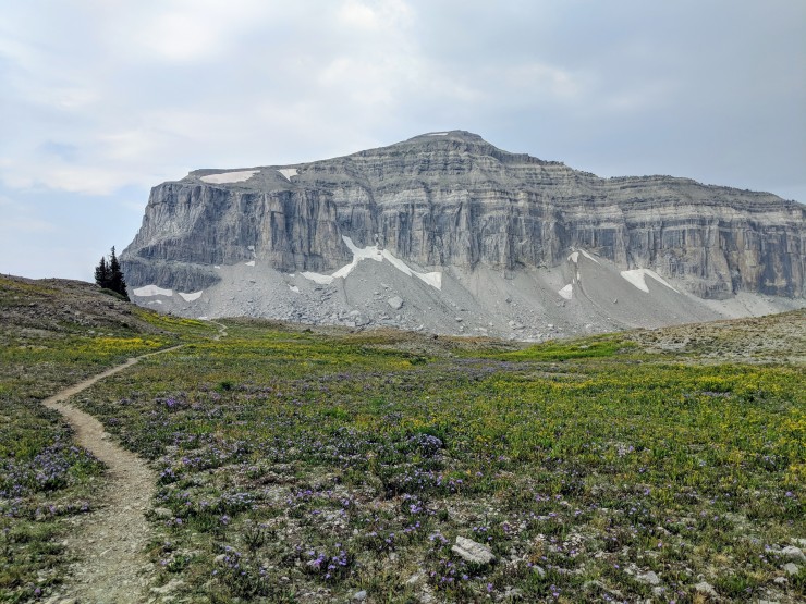 Teton-crest-trail-backpacking-mount-meek