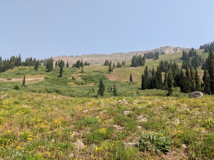 Teton-crest-trail-backpacking-rock-shelf-meadow