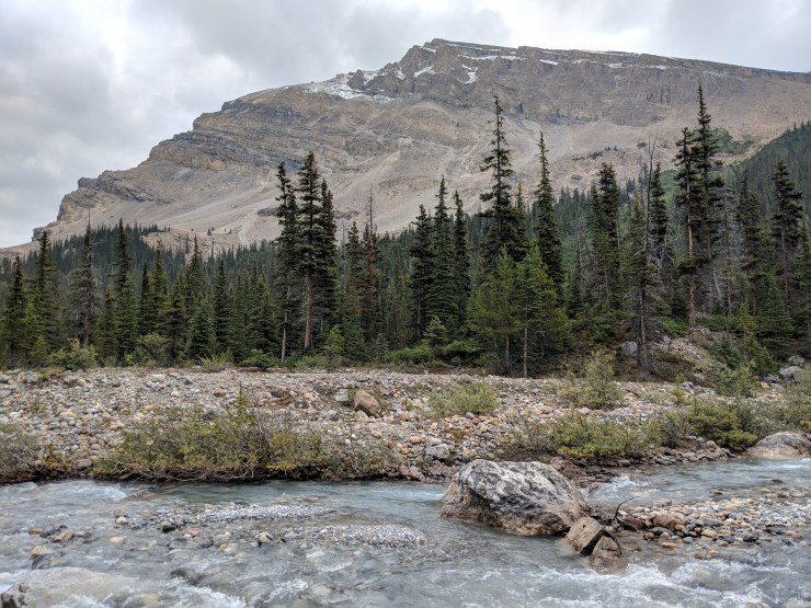 banff-bow-glacier-falls-hike-stream