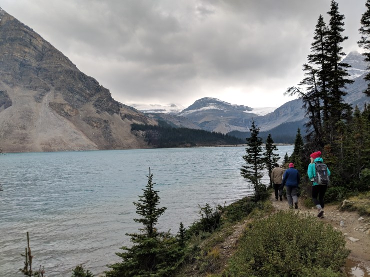 banff-bow-glacier-falls-trail-along-lake-shore