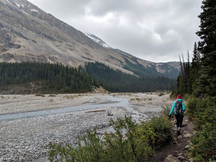 banff-bow-glacier-falls-trail-along-stream
