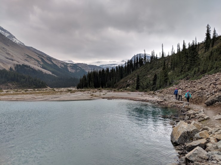banff-bow-lake-trail-along-shore