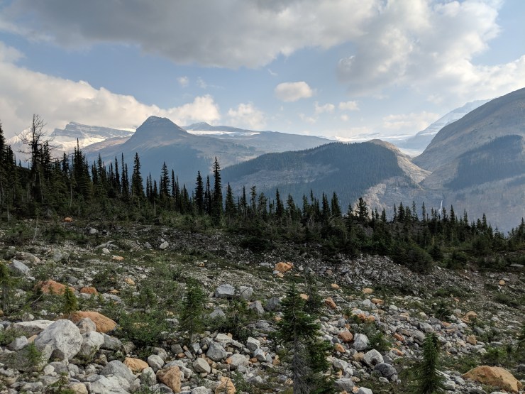daly-glacier-and-icefield-from-iceline-trail