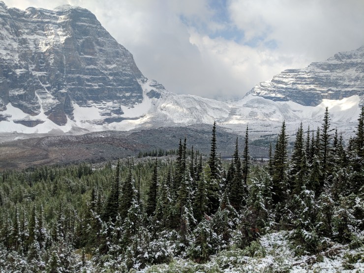 eiffel-lake-trail-looking-towards-wenkchemna-pass