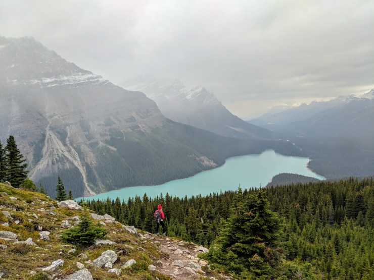 Hiker-above-peyto-lake-banff