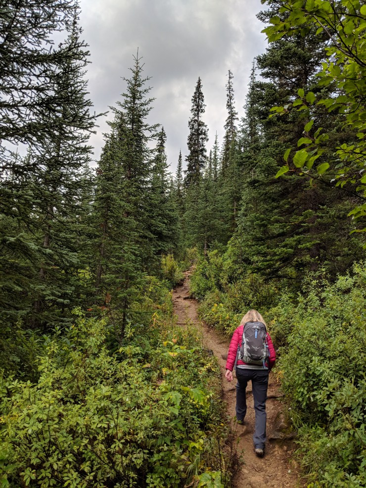 Hiking-on-yoho-lake-trail-towards-iceline-trail