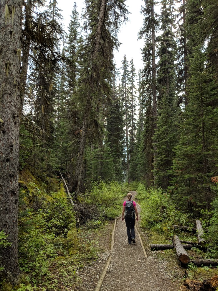 hiking-yoho-valley-trail