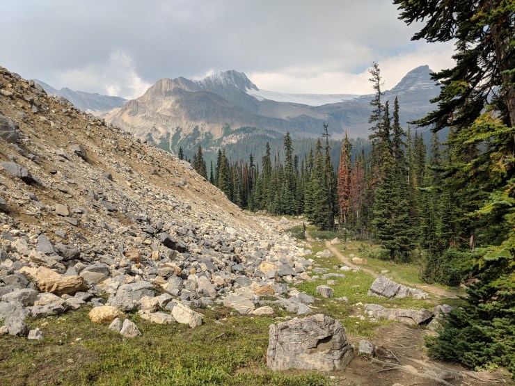 iceline-trail-along-scree-pile-to-little-yoho-valley