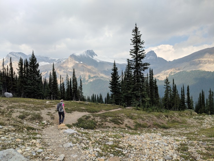 Iceline-trail-hiking-towards-little-yoho-valley