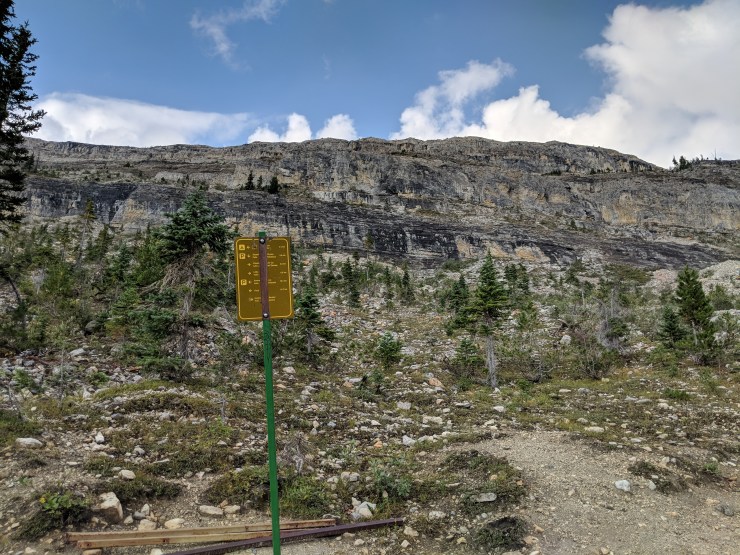 iceline-trail-junction-to-emerald-and-yoho-lake