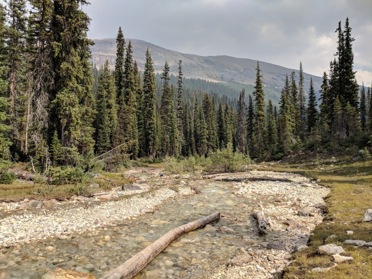 iceline-trail-little-yoho-river-looking-east