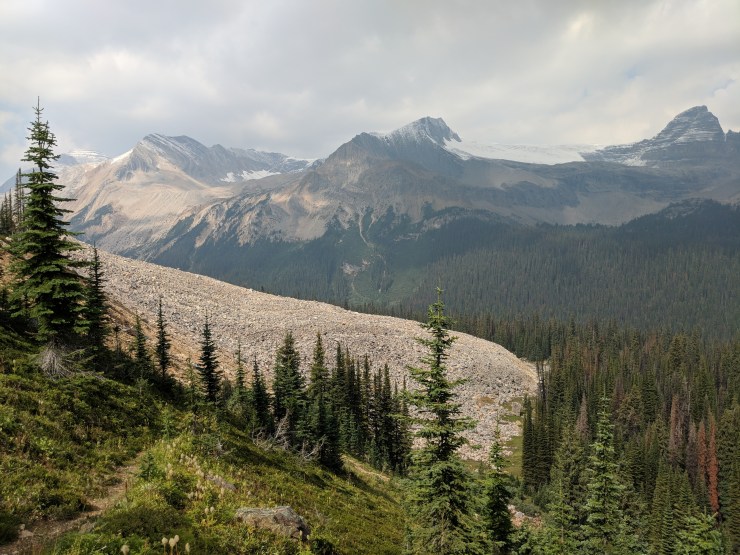 iceline-trail-looking-towards-mount-mcarthur