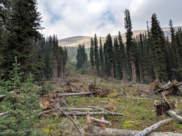 little-yoho-valley-trail-avalanche