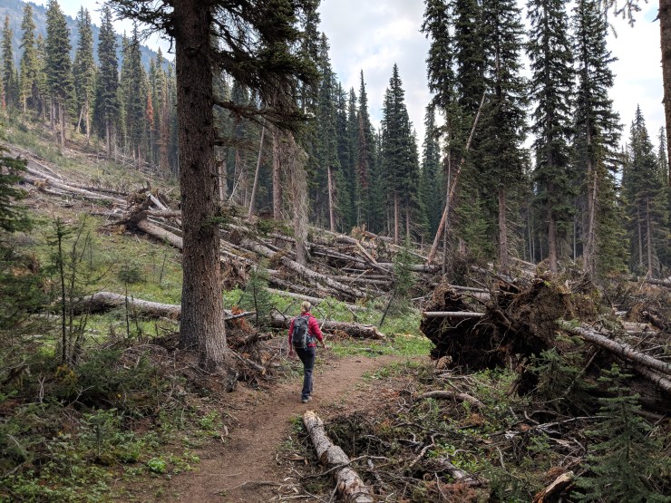 little-yoho-valley-trail-hiking-through-avalanche-area