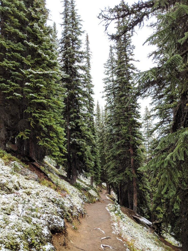 moraine-lake-start-larch-valley-trail-narrow-switchbacks