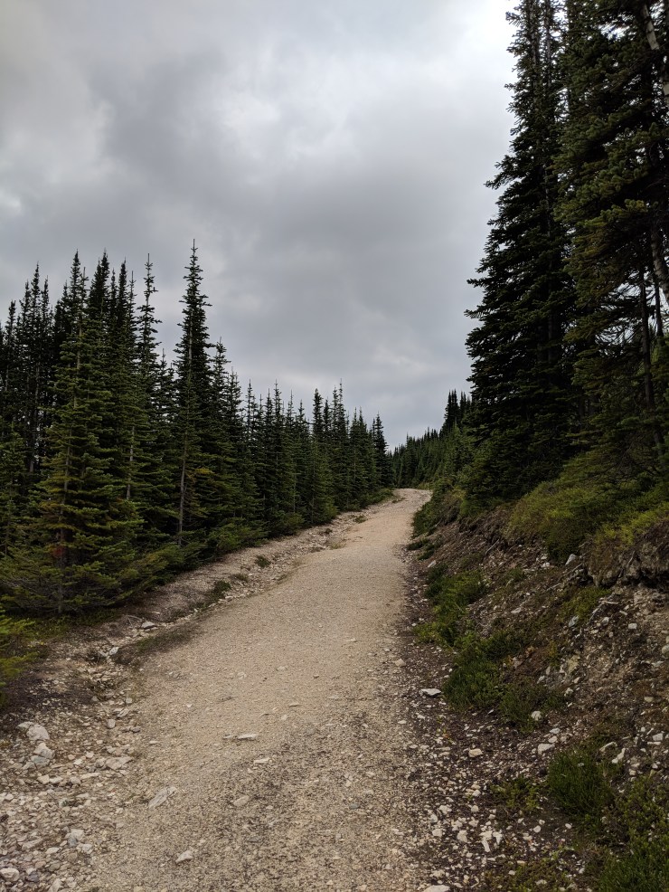 peyto-lake-bow-summit-lookout-fire-road