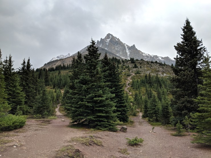 peyto-lake-bow-summit-lookout-lack-of-trail-signage
