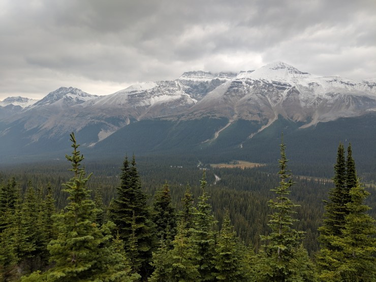 peyto-lake-bow-summit-lookout-mountain-view