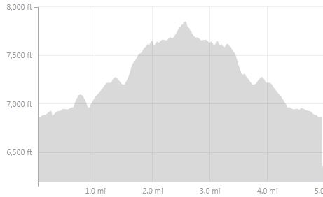 Peyto-lake-bow-summit-overlook-elevation