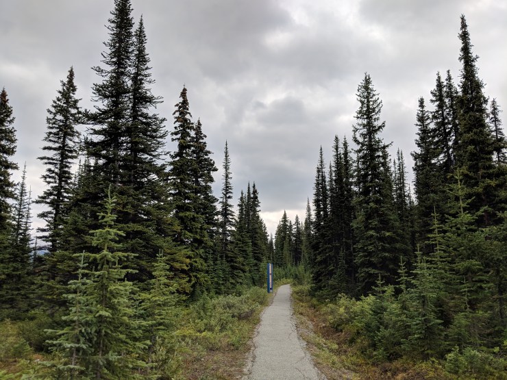 peyto-lake-hiking-towards-bow-summit-lookout