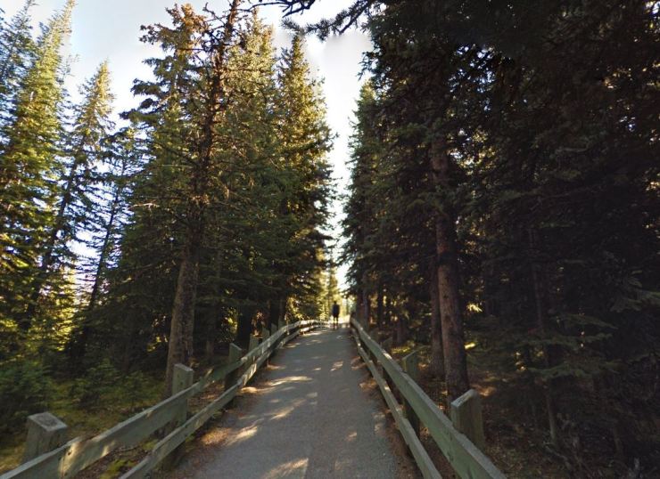 Peyto-lake-lookout-trail