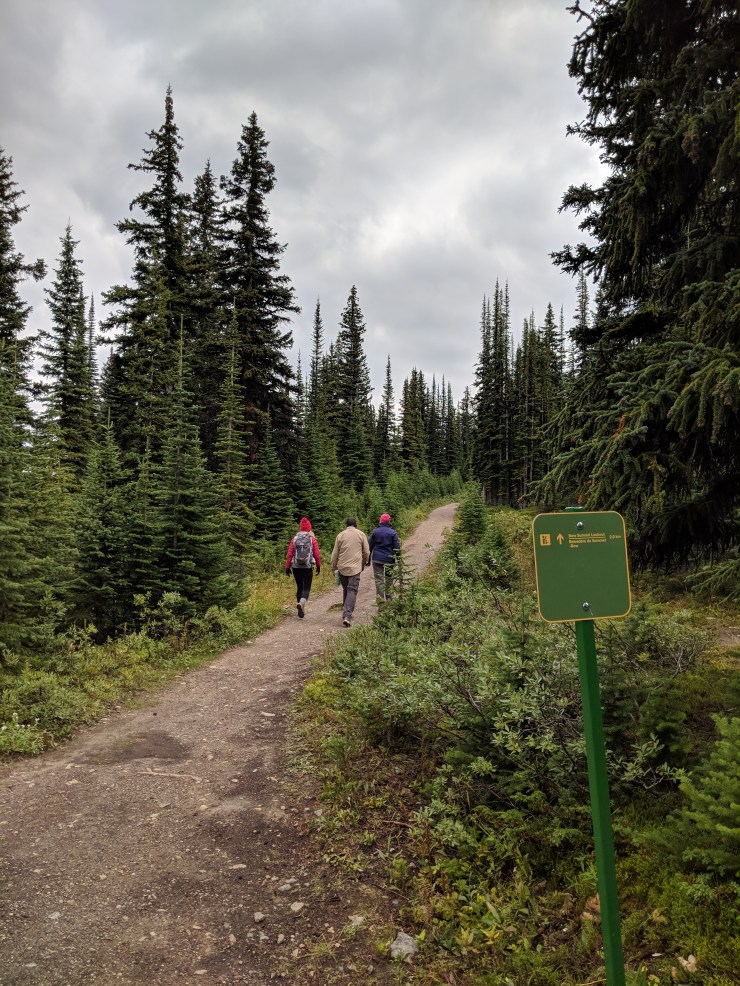 peyto-lake-trail-sign-bow-summit-lookout