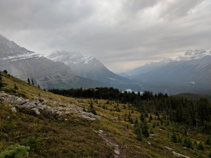 side-trail-and-glimpse-of-peyto-lake