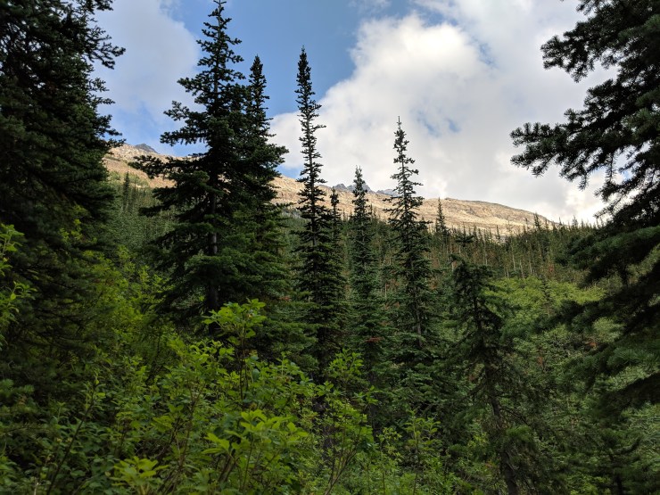 view-looking-up-to-rock-shelf-that-iceline-trail-traverses
