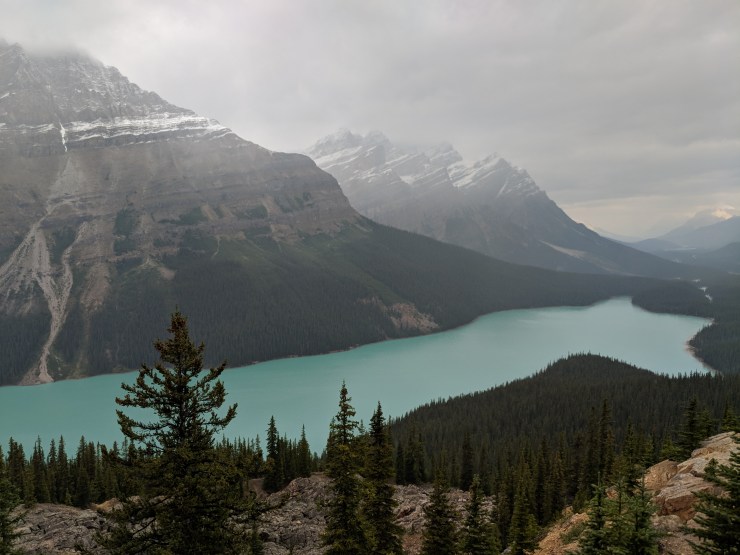 view-of-peyto-lake-from-the-first-lookout