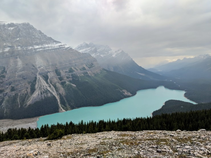 view-of-peyto-lake-from-upper-view-area