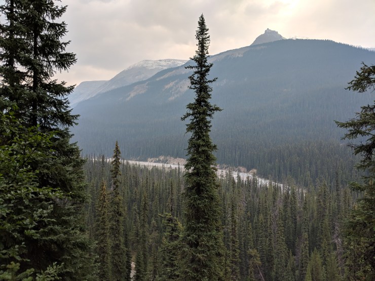 view-of-yoho-river-from-little-yoho-valley-trail