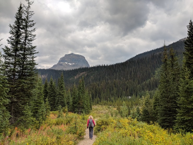 Yoho-iceline-trail-yoho-river-trail-towards-hostel