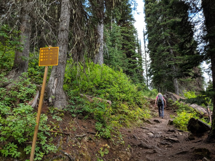 yoho-lake-trail-junction-hidden-lakes