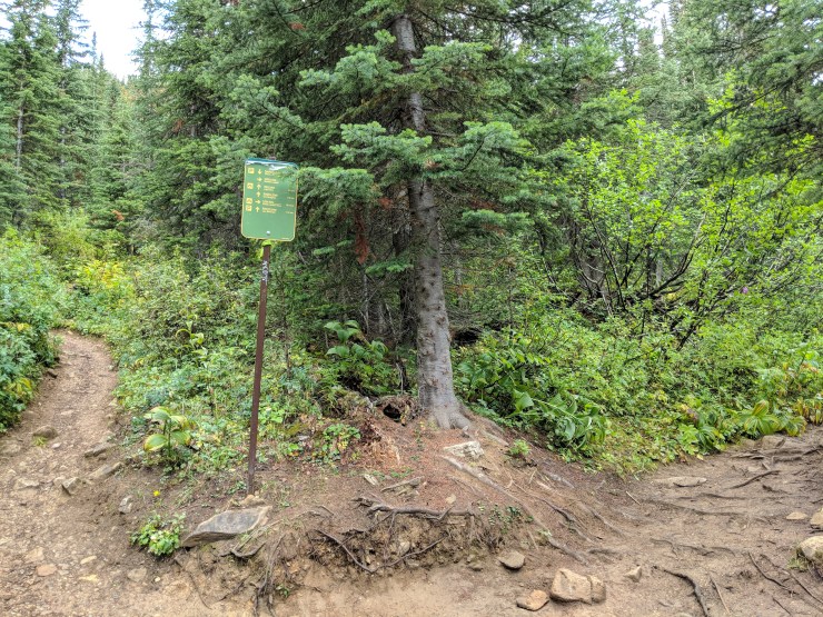 yoho-lake-trail-junction-with-emerald-lake-and-yoho-lake-turn-off
