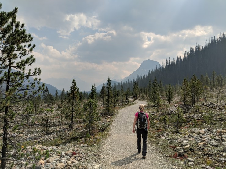 yoho-valley-trail-approaching-campground