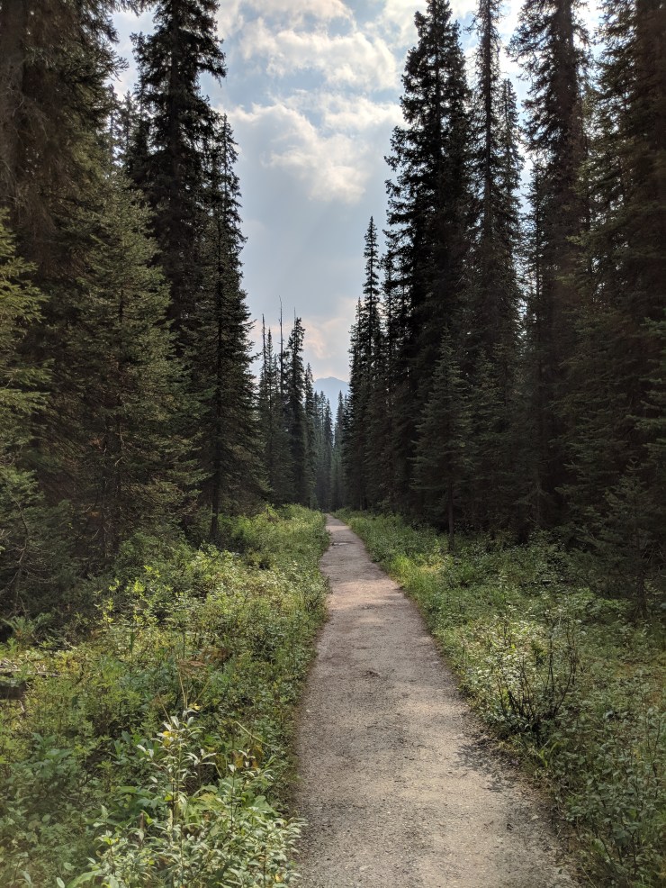 yoho-valley-trail-final-stretch