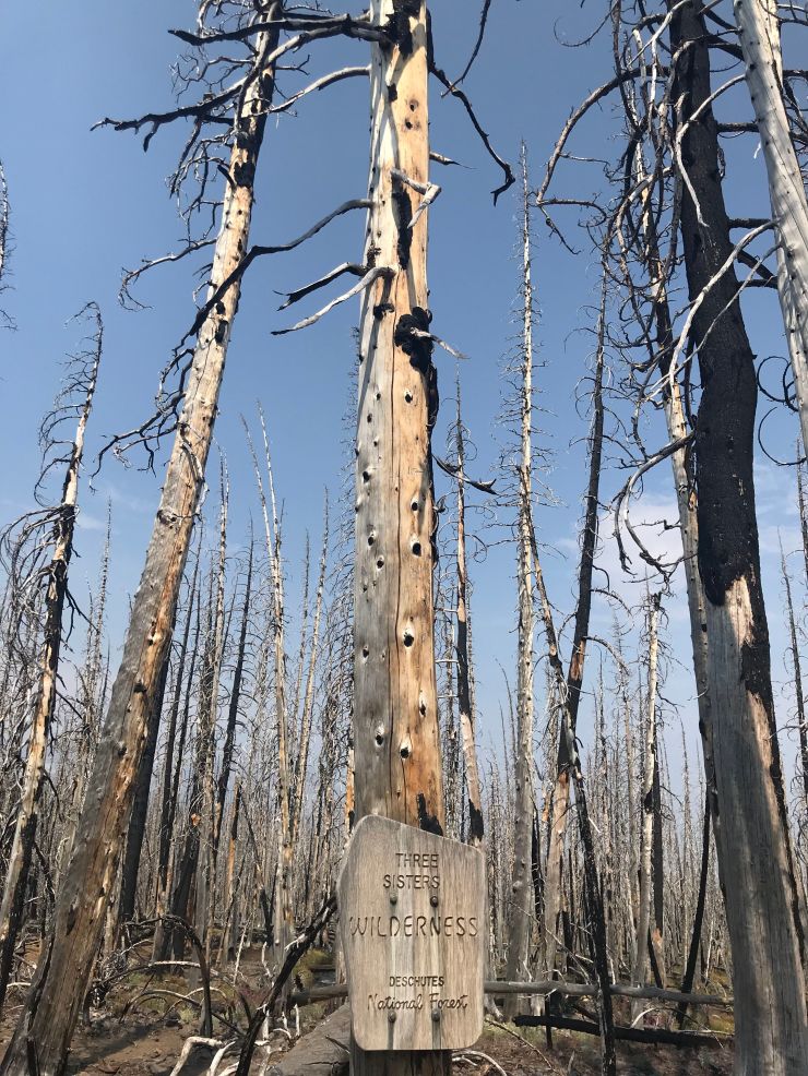boundary-three-sisters-wilderness-and-deschutes-national-forest