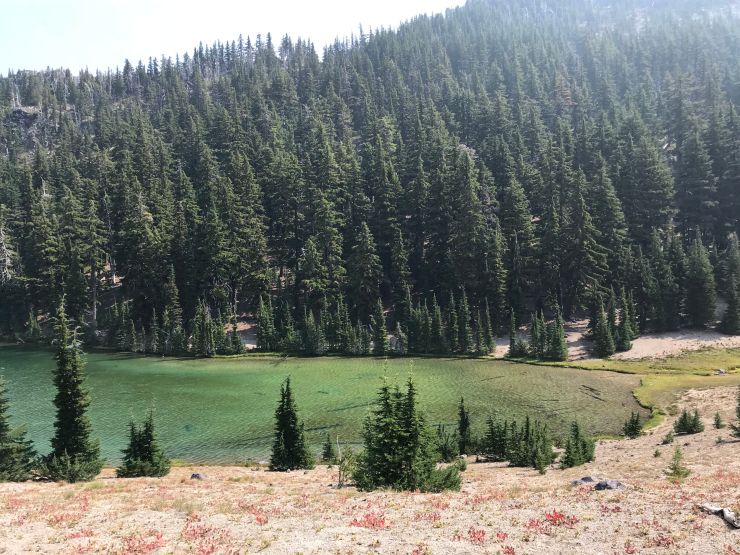 three-sisters-wilderness-broken-top-green-lakes-trail-shore